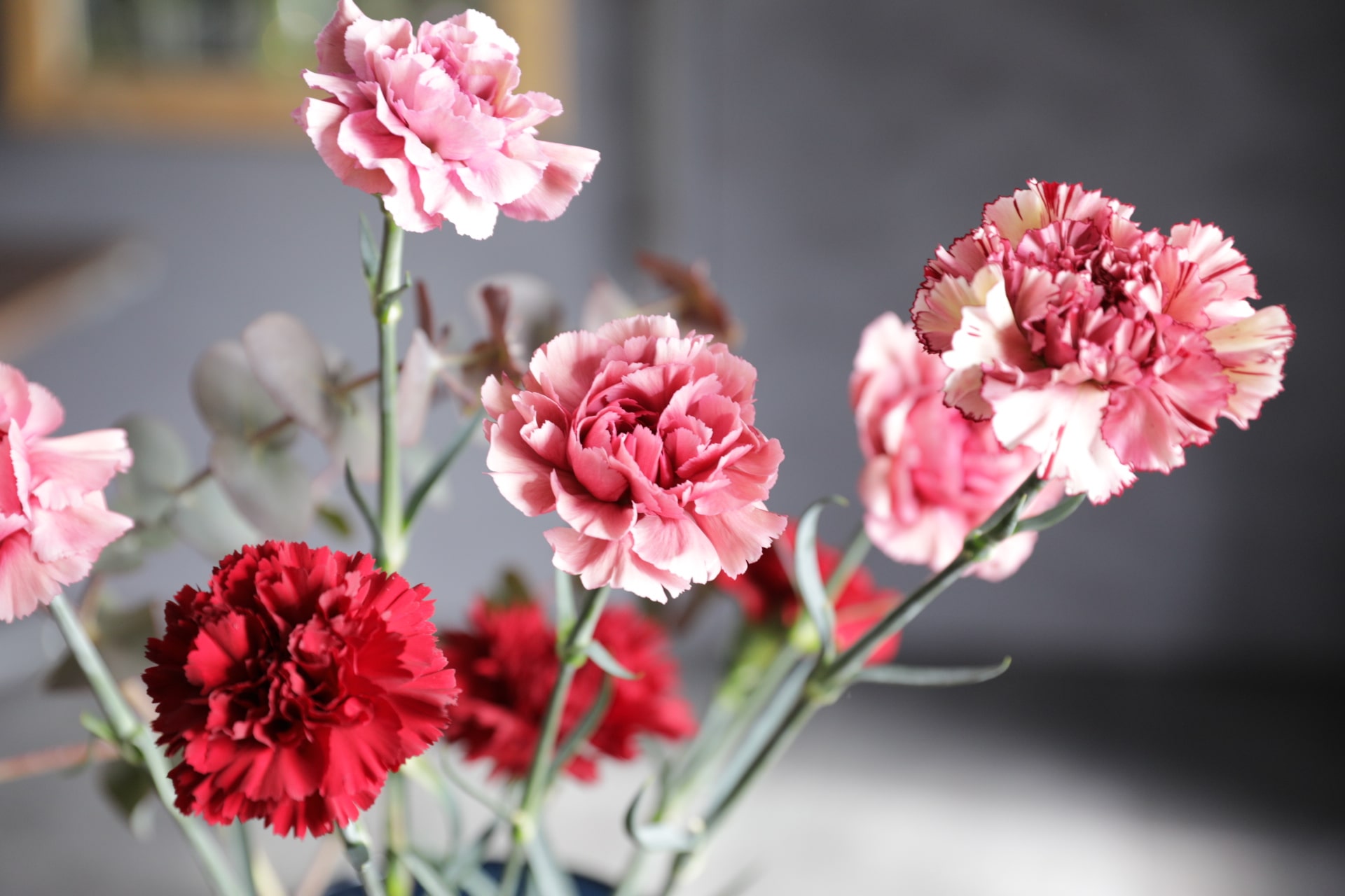 母の日に贈りたい 人気の花ランキング 青山フラワーマーケット 青山フラワーマーケット公式 花屋 花 花束 フラワーギフト 通販