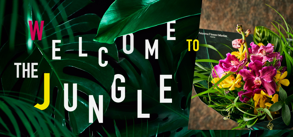 8月は “Welcome to the Jungle”。ジャングルになる夏