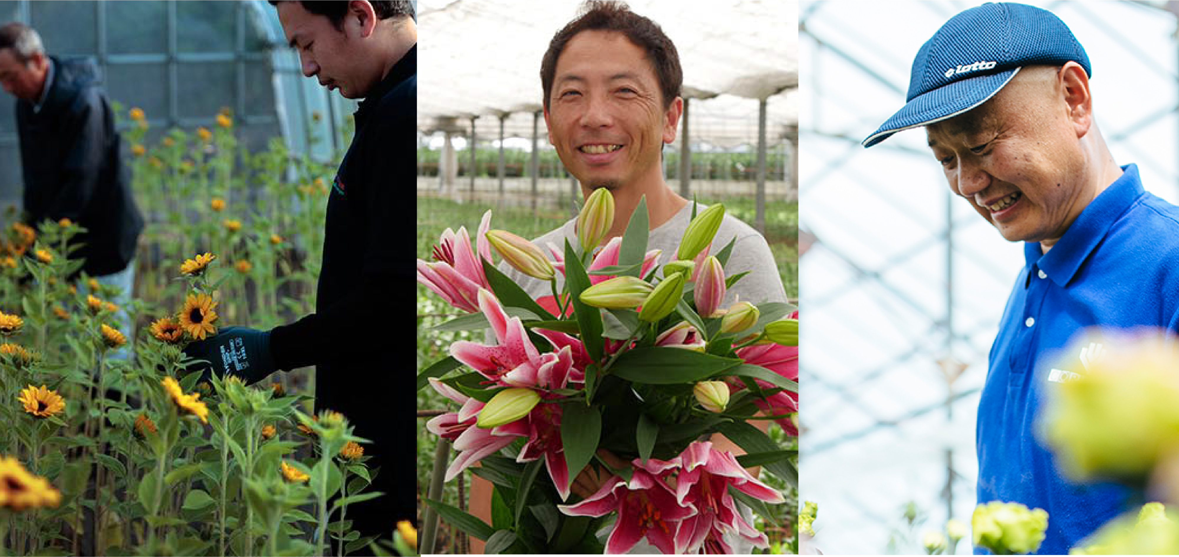 6月は「環境月間」/ 環境に配慮した花を栽培する生産者のフェアを開催します