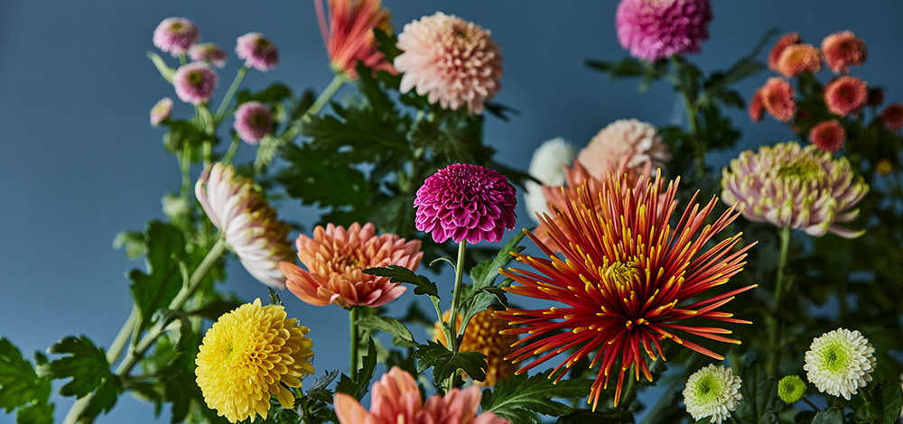 青山フラワーマーケット｜ニュース｜花・花束・フラワーギフトの青山フラワーマーケット 全国の花屋・店舗情報｜通販サイト | 青山フラワーマーケット｜花 や緑とともに暮らす毎日を