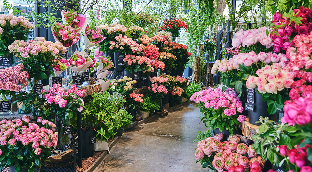 青山フラワーマーケット｜ニュース｜花・花束・フラワーギフトの青山フラワーマーケット 全国の花屋・店舗情報｜通販サイト |  青山フラワーマーケット｜花や緑とともに暮らす毎日を