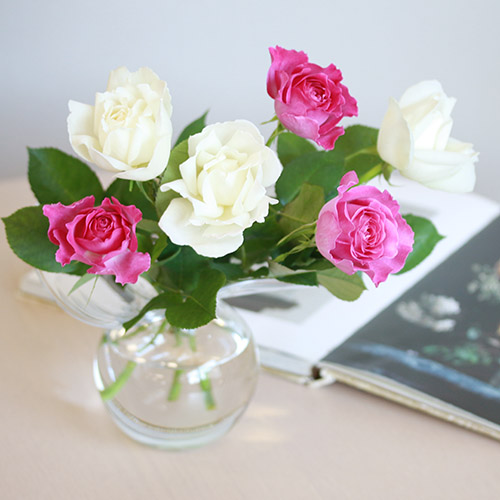 7,728円ガニー セレブ 高級 バラ 薔薇 ROSE フラワー Flower カジュアル