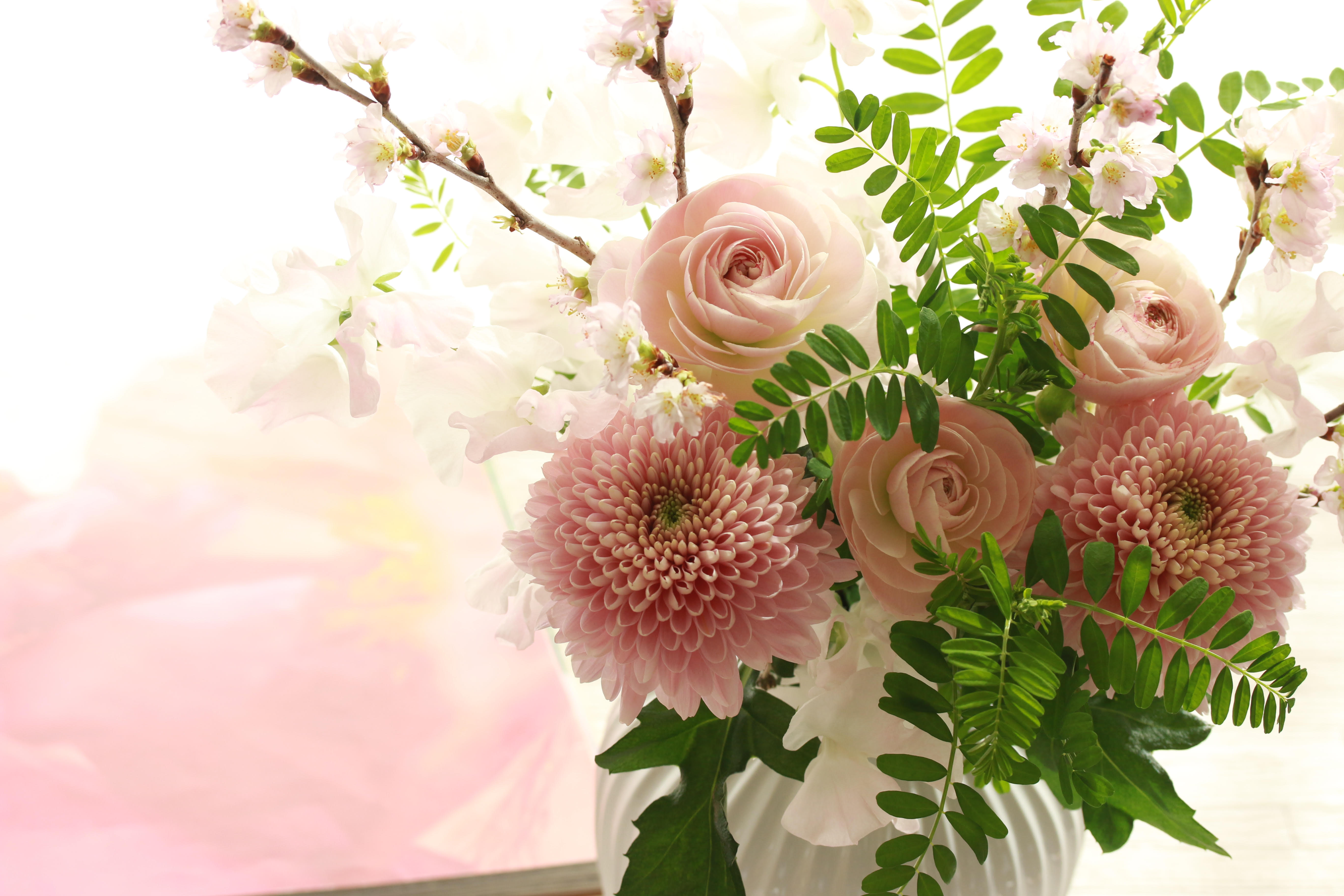 Monthlyflower ラナンキュラス 花 フラワーギフトなら青山フラワーマーケット 青山フラワーマーケット公式 花屋 花 花束 フラワーギフト 通販