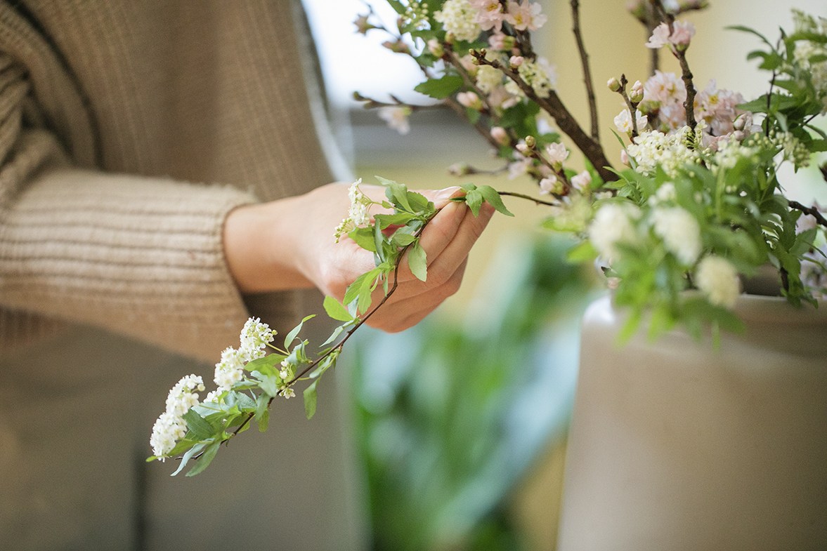 桜 コデマリ One Flower One Green 青山フラワーマーケット公式 花屋 花 花束 フラワーギフト 通販