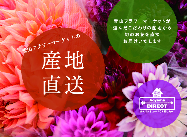 青山フラワーマーケット公式｜花屋｜花 花束 フラワーギフト｜通販