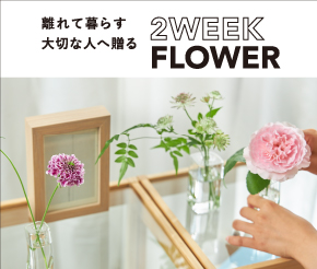 マッチの形をしたお香です 10 MINUTES FLOWER AROMA -sentimental-(10ミニッツ フラワー アロマ  ?センチメンタル-) | 青山フラワーマーケット｜花や緑とともに暮らす毎日を